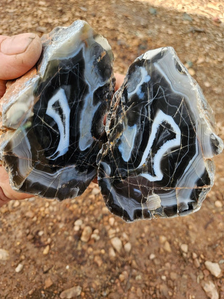 Polished Pilbara Agate PA276