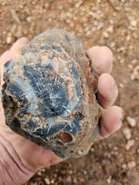 Polished Pilbara Agate PA276