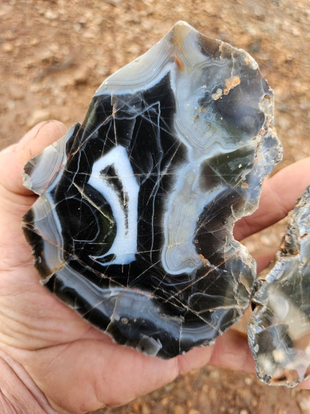 Polished Pilbara Agate PA276