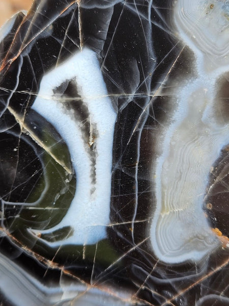 Polished Pilbara Agate PA276
