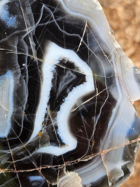 Polished Pilbara Agate PA276