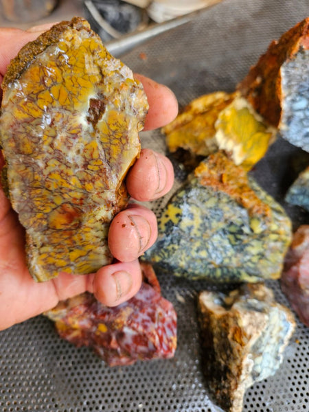 Dendritic Opal  rough.  DOR268
