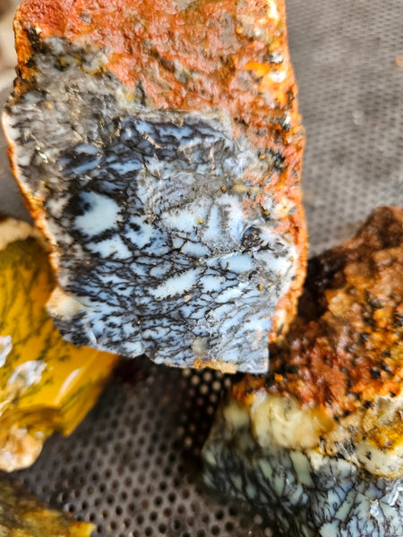 Dendritic Opal  rough.  DOR268