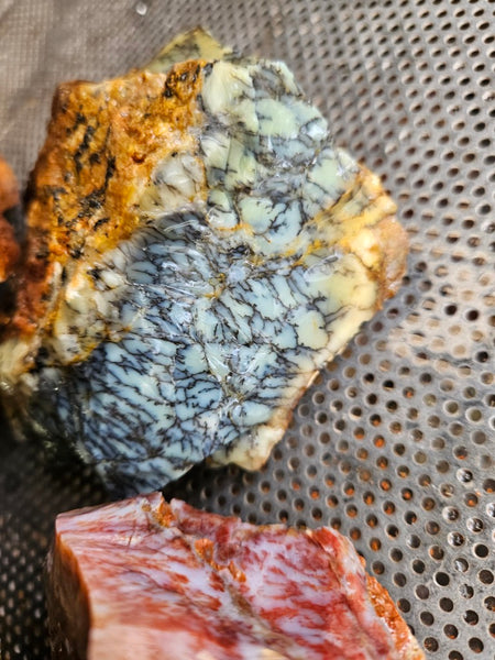 Dendritic Opal  rough.  DOR268