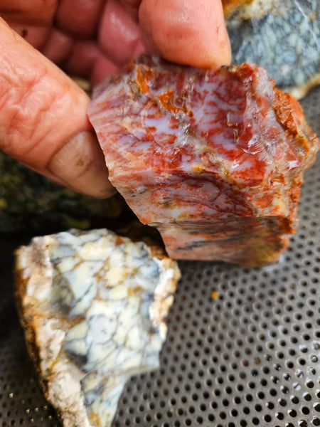 Dendritic Opal  rough.  DOR268