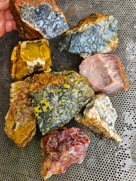 Dendritic Opal  rough.  DOR268