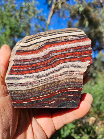 Polished Snakeskin Jasper SS206