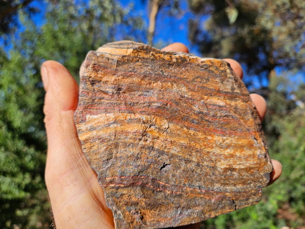 Polished Snakeskin Jasper SS206