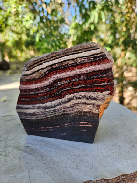Polished Snakeskin Jasper SS206