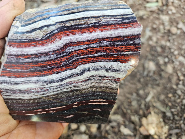 Polished Snakeskin Jasper SS206