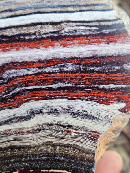 Polished Snakeskin Jasper SS206
