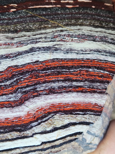 Polished Snakeskin Jasper SS206