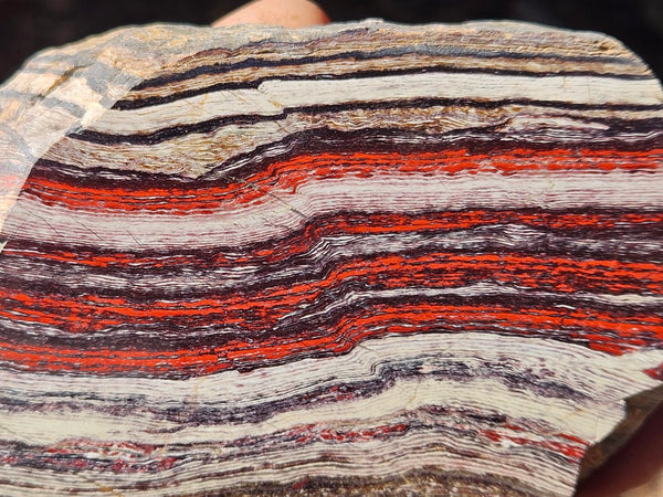 Polished Snakeskin Jasper SS206