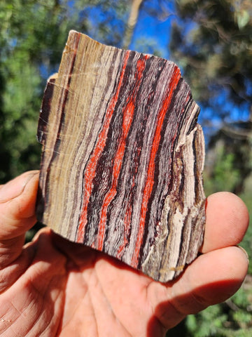 Polished  Snakeskin Jasper slab SS204