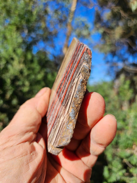 Polished  Snakeskin Jasper slab SS204