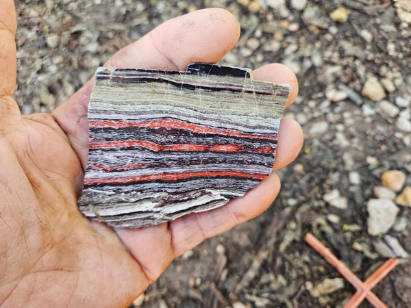 Polished  Snakeskin Jasper slab SS204