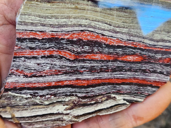 Polished  Snakeskin Jasper slab SS204