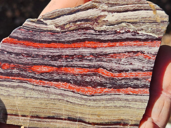 Polished  Snakeskin Jasper slab SS204