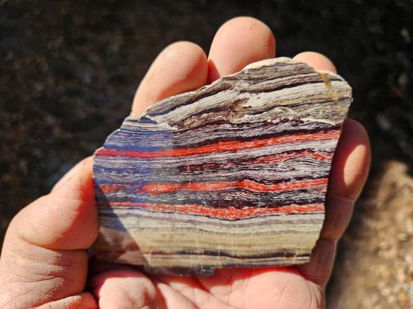Polished  Snakeskin Jasper slab SS204