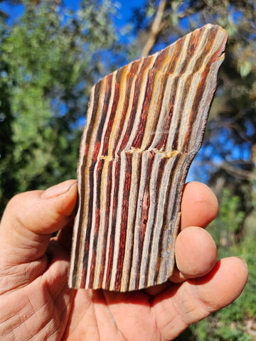 Polished Snakeskin Jasper slab  SS205