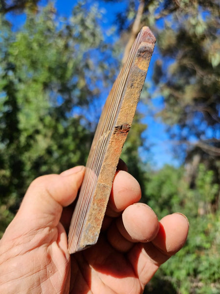 Polished Snakeskin Jasper slab  SS205