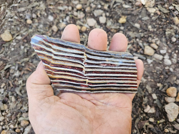Polished Snakeskin Jasper slab  SS205