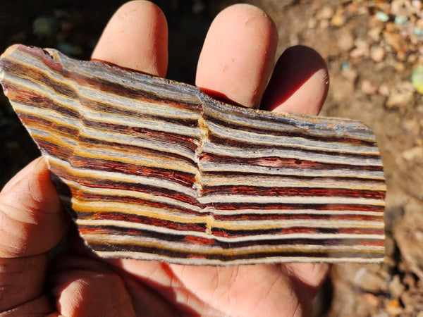 Polished Snakeskin Jasper slab  SS205
