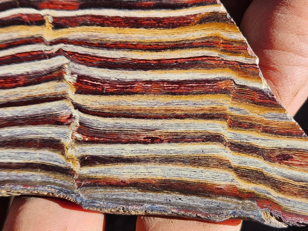 Polished Snakeskin Jasper slab  SS205