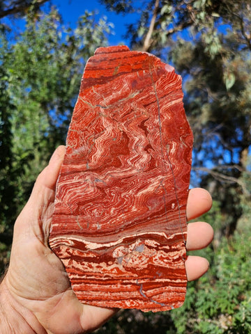 Polished  Snakeskin Jasper slab SS203