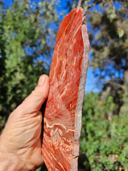 Polished  Snakeskin Jasper slab SS203