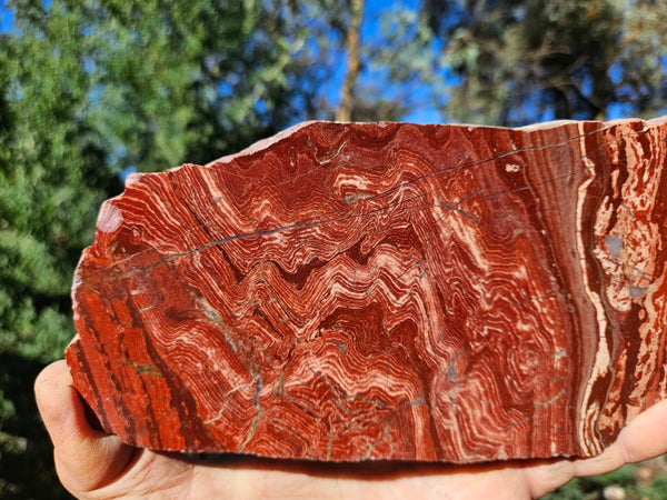 Polished  Snakeskin Jasper slab SS203