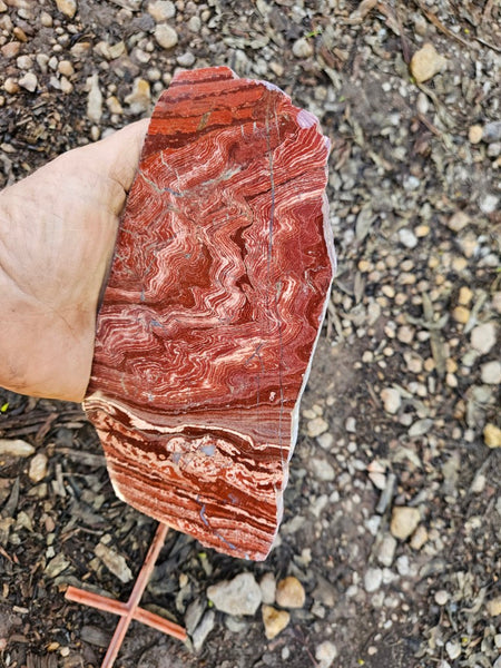 Polished  Snakeskin Jasper slab SS203