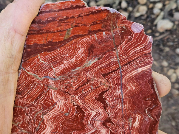 Polished  Snakeskin Jasper slab SS203