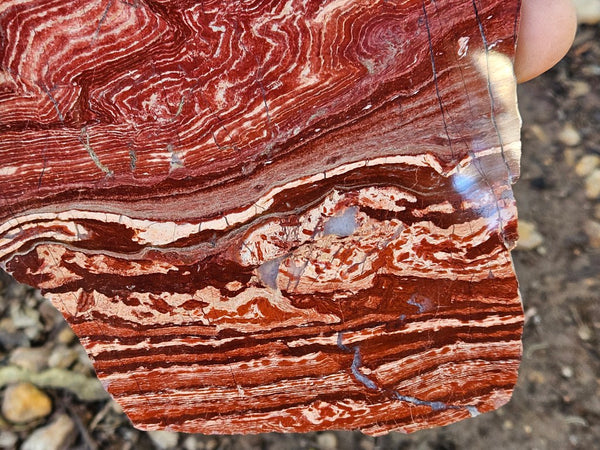 Polished  Snakeskin Jasper slab SS203