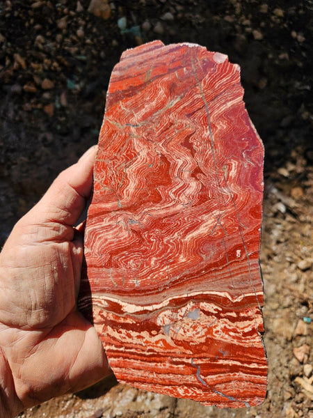 Polished  Snakeskin Jasper slab SS203