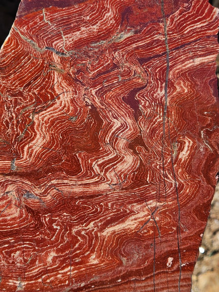 Polished  Snakeskin Jasper slab SS203