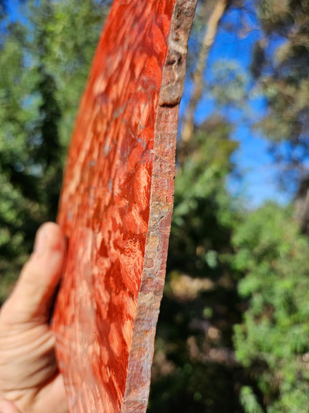Polished  Snakeskin Jasper slab SS202