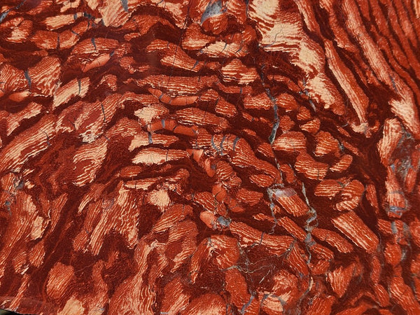 Polished  Snakeskin Jasper slab SS202