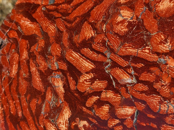 Polished  Snakeskin Jasper slab SS202