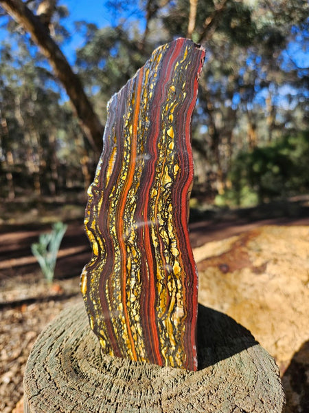 Polished Tiger Iron  TI369