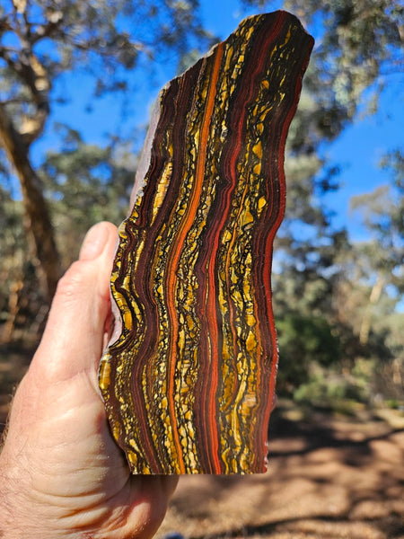 Polished Tiger Iron  TI369