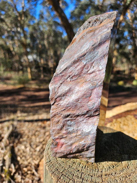 Polished Tiger Iron  TI369