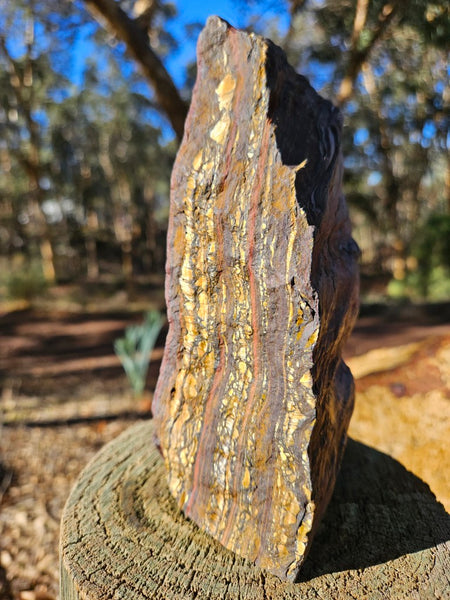 Polished Tiger Iron  TI369