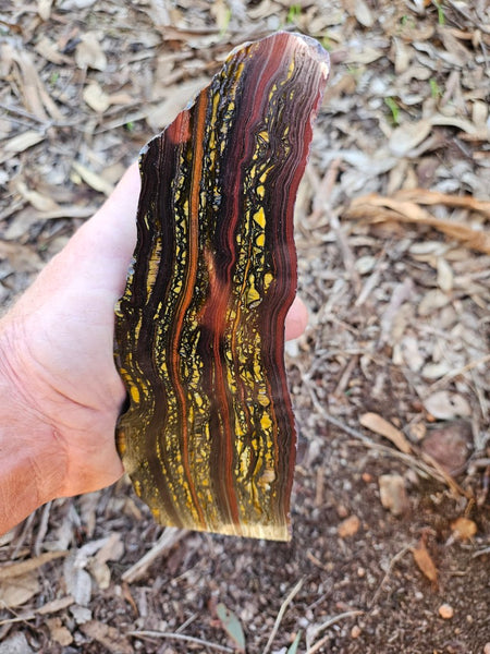 Polished Tiger Iron  TI369