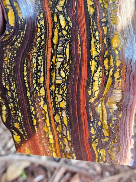 Polished Tiger Iron  TI369