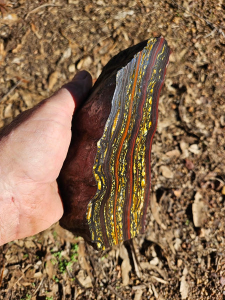 Polished Tiger Iron  TI369
