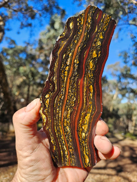 Polished Tiger Iron slab TI370