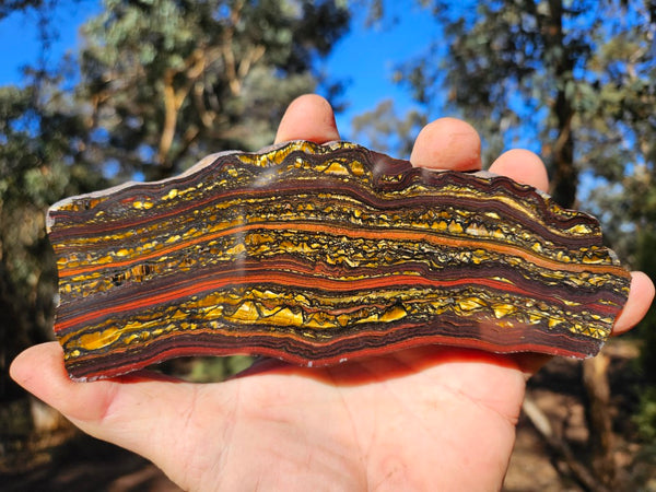 Polished Tiger Iron slab TI370