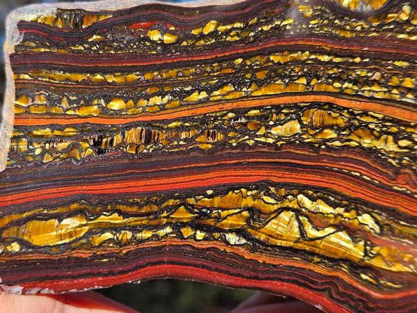 Polished Tiger Iron slab TI370