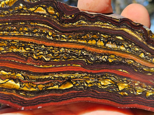 Polished Tiger Iron slab TI370